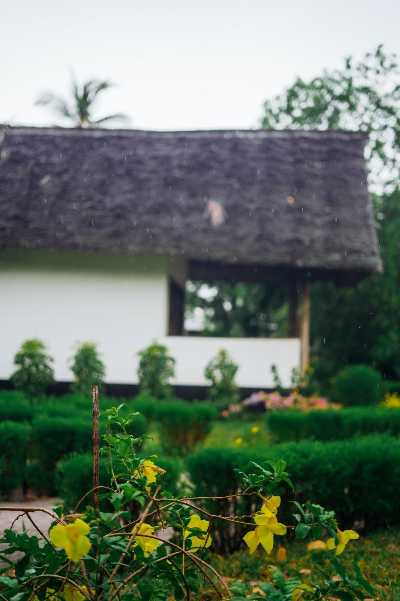 Maisara Mafia Beach Lodge Kilindoni Exteriér fotografie